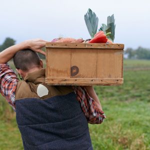 6 Ways You Can Eat Better