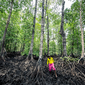 James Morgan Kei and Raja_25 James Morgan Kei and Raja_25