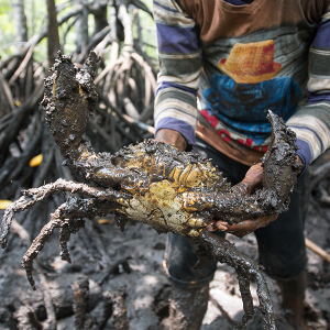 James Morgan Kei and Raja_26 James Morgan Kei and Raja_26